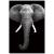 Premium Acrylic Wall Art Elephant - SB-61130