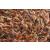 Estilo Wool/Polyester Rectangular Hand-woven Rug, 5' x 7'6