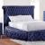 Delilah Fabric/Wood Tufted Storage Platform Bed