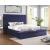 Davida Fabric Low Profile Tufted Platform Bed