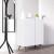Forte Modern Contemporary Shoe Cabinet