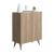 Forte Modern Contemporary Shoe Cabinet