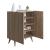 Forte Modern Contemporary Shoe Cabinet