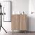 Forte Modern Contemporary Shoe Cabinet