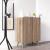Forte Modern Contemporary Shoe Cabinet
