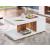 Moa Wood Gloss Storage Coffee Table