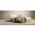 Cubed Deluxe Fabric Sofa Bed w/Arms