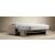 Carnell Polyester Queen Sofa Bed w/Slope Arms