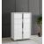 Giulia Premium Gloss Wood Veneer 5-Drawer Chest