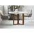 Jinxx Dining Table