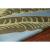 Kronos Wool Rectangular Handmade Rug, 7'9