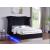 LCL-B03 Bed w/Bluetooth Speaker  & LED Light, Queen Size