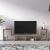 Legon Modern Contemporary TV Unit with Storage