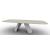 Apian W118.1-inch Ceramic/Metal Customizable Elliptical Dining Table
