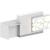 ORGANIC 1-Person Straight Reception Desk w/Side Counter Top & RGB Light, ADA Compliance