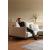 Malloy Fabric Sofa Bed