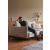 Malloy Fabric Sofa Bed