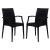 Mace Outdoor Polypropylene Dining Arm Chair (Set of 2)