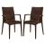 Mace Outdoor Polypropylene Dining Arm Chair (Set of 2)