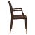 Mace Outdoor Polypropylene Dining Arm Chair (Set of 2)