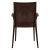 Mace Outdoor Polypropylene Dining Arm Chair (Set of 4)