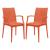 Mace Outdoor Polypropylene Dining Arm Chair (Set of 2)