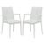 Mace Outdoor Polypropylene Dining Arm Chair (Set of 2)