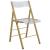 Menno Acrylic Folding Chair