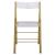 Menno Acrylic Folding Chair (Set of 4)