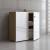 Mito Office Cabinet w/2 Doors