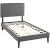 Amaris Fabric Twin Platform Bed with Squared Tapered Legs