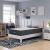 Aveline 12