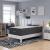 Aveline 16