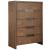 Atlas Wood Chest w/5 Drawers