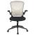 Newton Mesh Office Chair