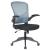 Newton Mesh Office Chair