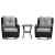 Fruttuo Swivel Steel Rattan 3-Piece Patio Conversation Set w/Cushions