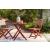 Safari Peak 3-Piece Outdoor Resin Wicker/Eucalyptus Wood Dining Set