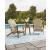 Marina Sun Resin Wicker/Wood Adirondack Chair