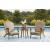Marina Sun Resin Wicker/Wood Adirondack Chair