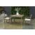 Aria Plains Outdoor Eucalyptus Wood Patio Dining Set
