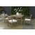 Aria Plains Outdoor Eucalyptus Wood Patio Dining Set