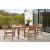 Janiyah Outdoor Acacia Wood Rectangular Dining Set