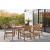 Janiyah Outdoor Acacia Wood Rectangular Dining Set