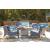 Half Moon Beach Resin Wicker/Aluminum Spring Lounge Chair with Cushion