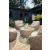 Danson Outdoor 2-Piece Nuvella Fabric/Resin Wicker Swivel Lounge Chair