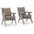 Cliff Trails 2-Piece Wicker/Aluminum Rocking Armchair