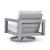 Hurley Park Aluminum/Polyester Swivel Chair with Cushion
