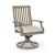 Rainier 2-Piece Ranch Aluminum/Polyester Swivel Chair with Cushion