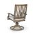 Rainier 2-Piece Ranch Aluminum/Polyester Swivel Chair with Cushion
